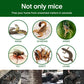 💥💥Haushalt Monofilament-Fallen Starke Mausefalle Mausefalle mit Klebefolie Mausefalle mit