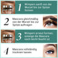 🔥2 kaufen 3 gratis🔥Ultimatives Mascara-Set für Verlängerung und Schwung， 50 % Rabatt auf Bestellungen