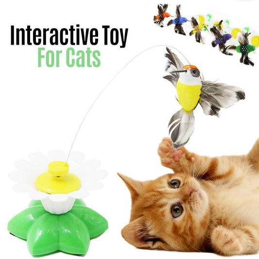 Interaktives Vogelspielzeug für Katzen