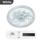 🔥50 % Rabatt – nur für kurze Zeit!🔥2-in-1 stummes, einstellbares Ventilatorlicht mit Fernbedienung