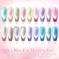 18 Farben Schimmernder Aquamarin Katzenaugen-Nagellack Gel