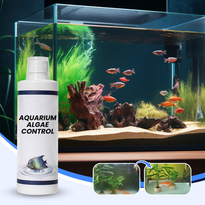 Algenbekämpfung im Aquarium