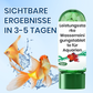 🐠 KAUFE 2, ERHALTE 1 GRATIS! 💧 Aquarium Wasserreinigungstablette – Klärt das Wasser, Reduziert Algen & Für Süß- und Salzwasser ✨