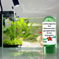 🐠 KAUFE 2, ERHALTE 1 GRATIS! 💧 Aquarium Wasserreinigungstablette – Klärt das Wasser, Reduziert Algen & Für Süß- und Salzwasser ✨