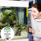 🐠 KAUFE 2, ERHALTE 1 GRATIS! 💧 Aquarium Wasserreinigungstablette – Klärt das Wasser, Reduziert Algen & Für Süß- und Salzwasser ✨