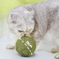 Riesige Kugeln aus Katzenminze