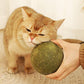 Riesige Kugeln aus Katzenminze