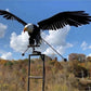 Gartenkunst - Vogeldekorationen für Garten und Terrasse